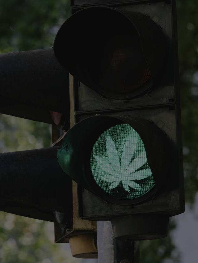 Green traffic light with a cannabis leaf