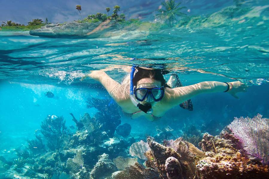 Who is liable if a person is injured in a Snorkeling Accident? | Sibley