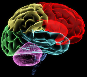 How Is Diffusion Tensor Imaging Used in a Personal Injury Case?