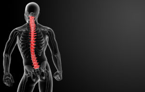 Bronx spinal cord injury