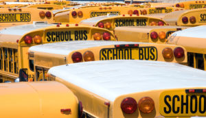 Who Is Liable In A School Bus Accident