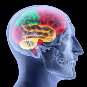 What Are Coup and Contrecoup Brain Injuries?