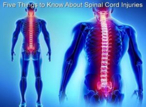 Five Things to Know About Spinal Cord Injuries