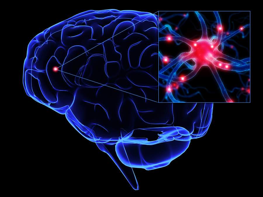 Aventura Brain Injury Lawyer