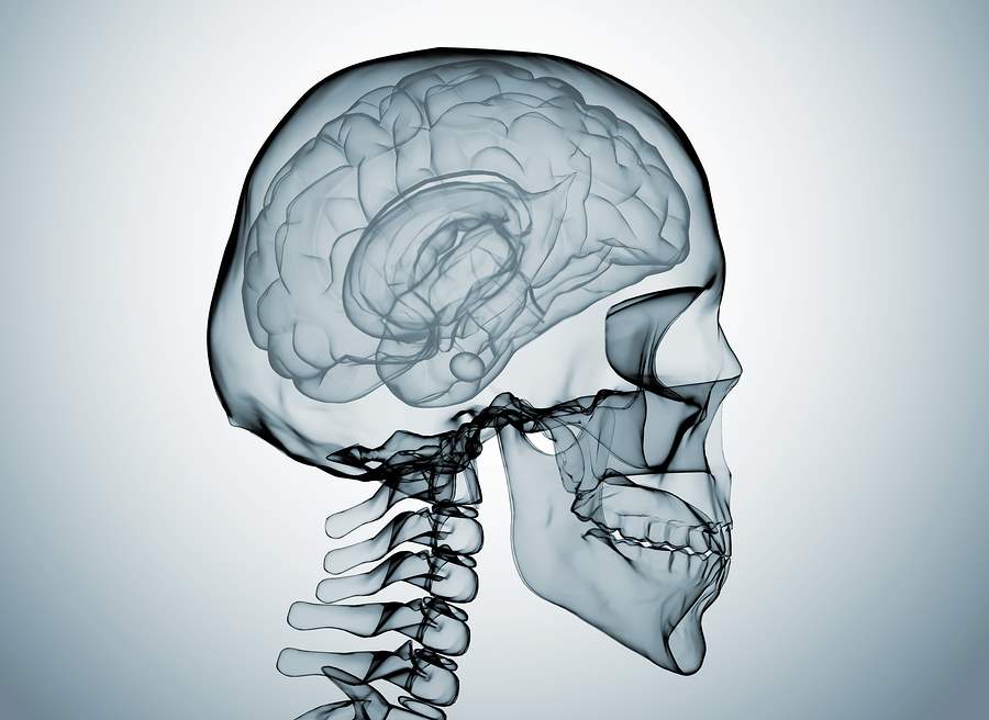 St. Petersburg Florida Traumatic Brain Injury Lawyers