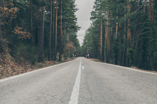 Car Accident Attorneys Sarasaota