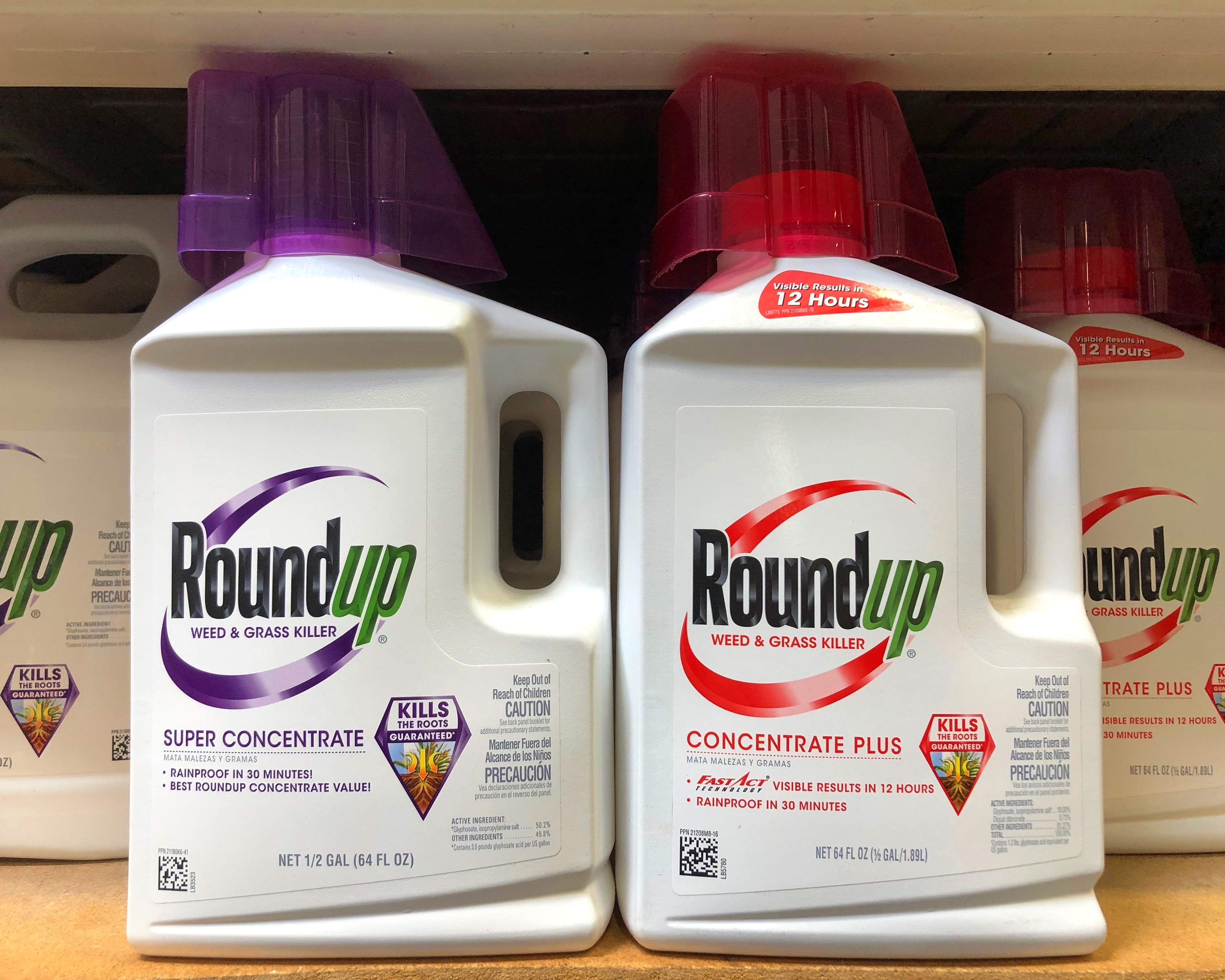 Bayer Monsanto roundup weedkiller lawsuit cancer attorney Florida