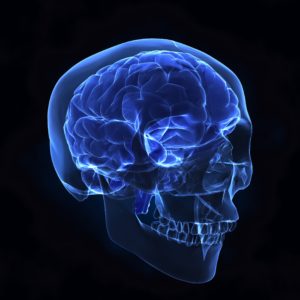 Brain Damage Effects and Consequences