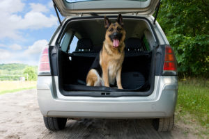 FL Personal Injury Lawyers
