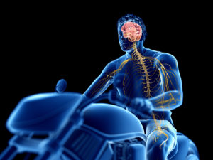 What Happens to Your Brain in a Motorcycle Crash?