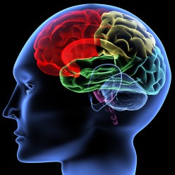 Bonita Springs brain injury lawyer