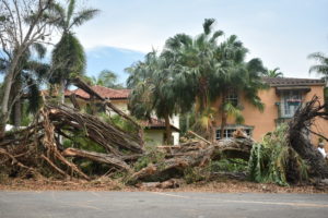 Hurricane Ian Wind Damage