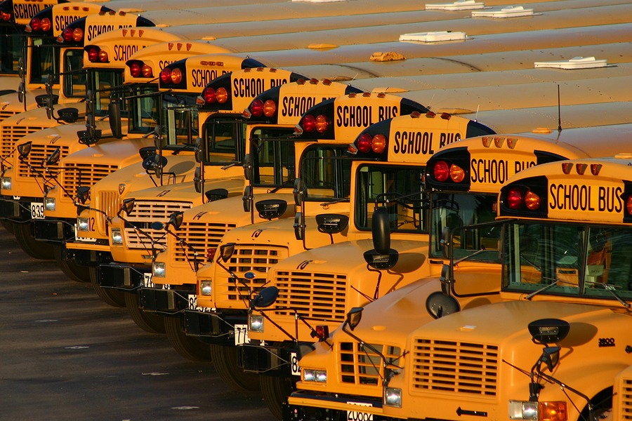 Washington County school buses