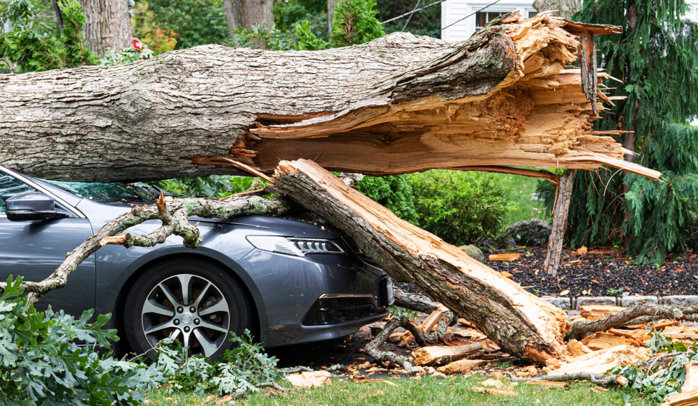 Jacksonville Hurricane Damage Lawyer