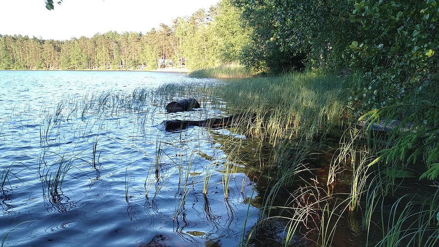 Is Camp Lejeune Water Still Contaminated