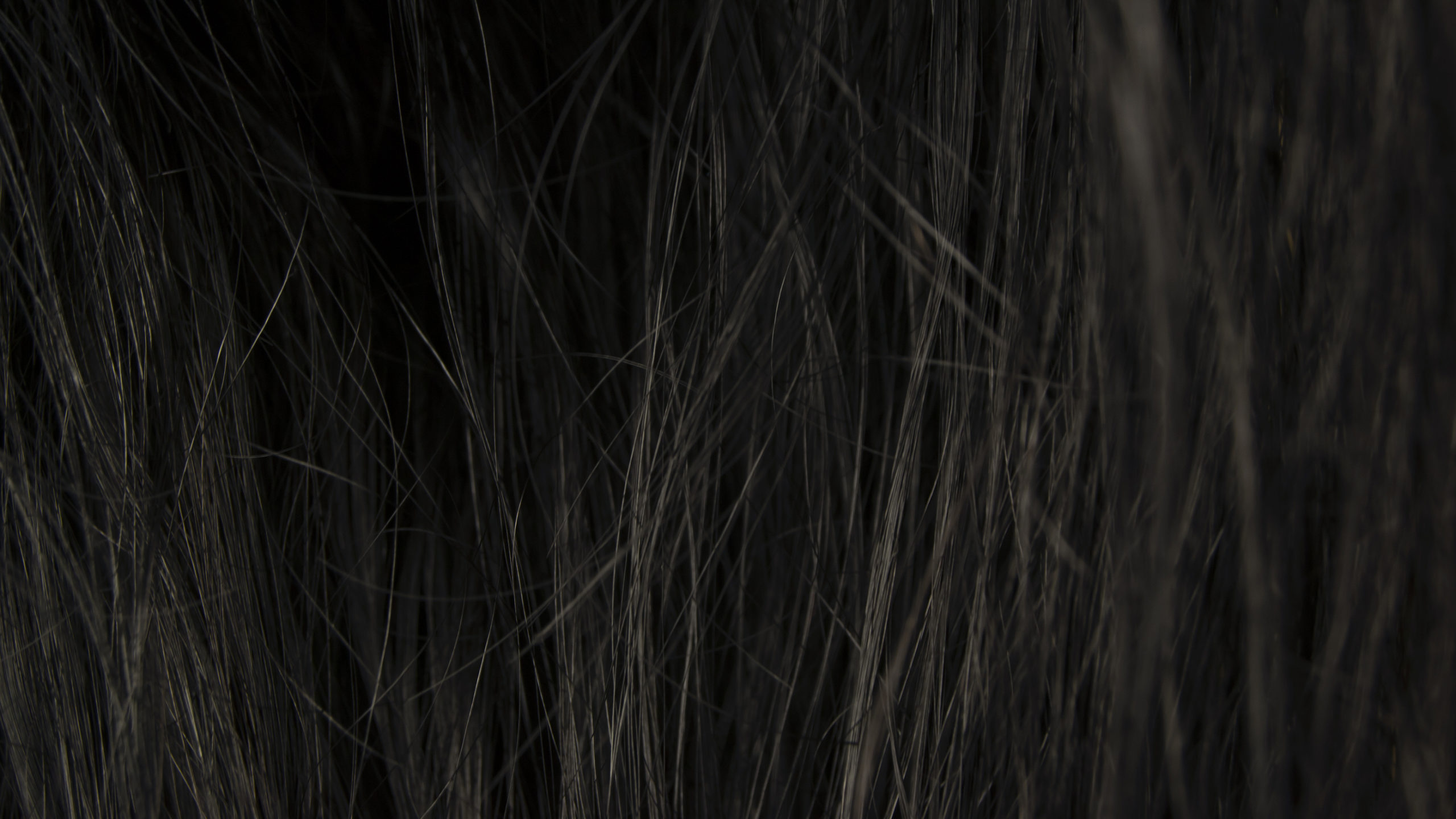 Motions Hair Relaxer Lawsuit