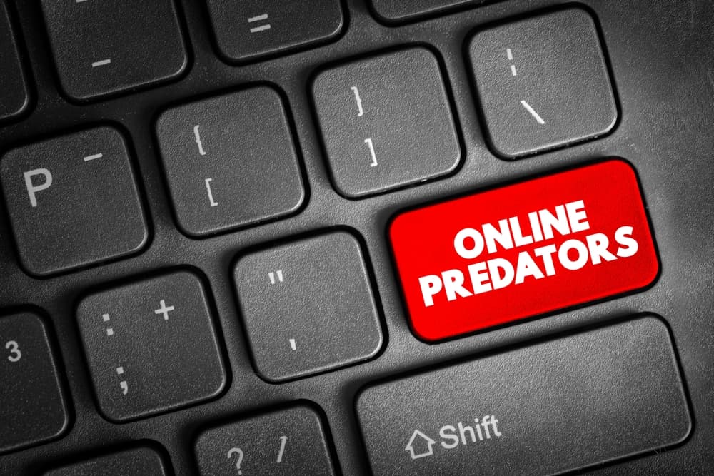Internet Sex Crimes in Bradenton 