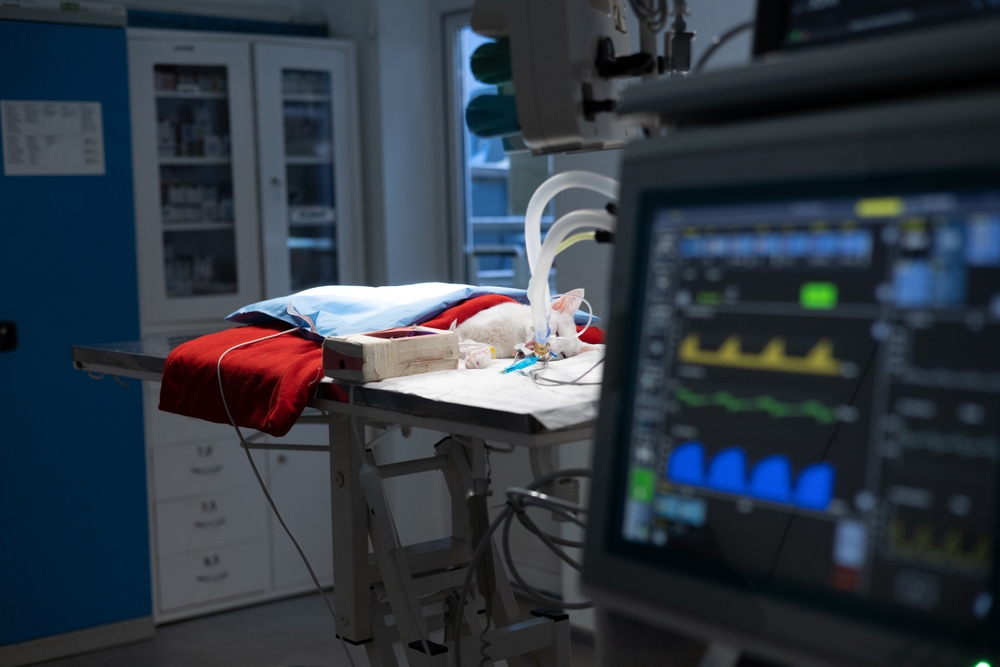 NYC Doctor Rapes Sedated Patients | Sexual Abuse Lawyers